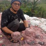IMG-20260715-WA0005